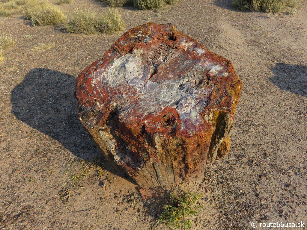 Národný park Petrified Forest
